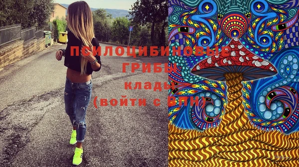 гидропоника Нязепетровск