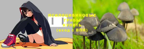 прущая мука Няндома
