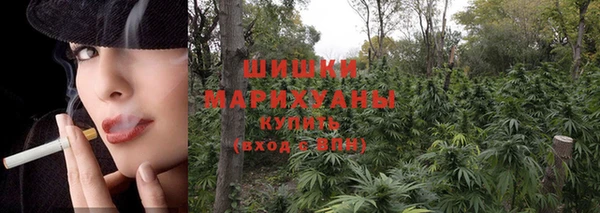гидропоника Нязепетровск