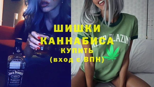 прущая мука Няндома