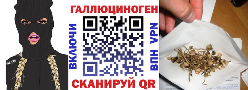 mega как зайти  Рыльск  Галлюциногенные грибы Cubensis 